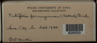 Image Associated With the Occurence